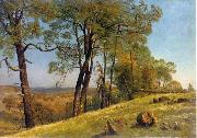 Albert Bierstadt Landscape, Rockland County, California Sweden oil painting artist